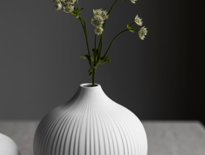 <h2>Medlemstilbud</h2>