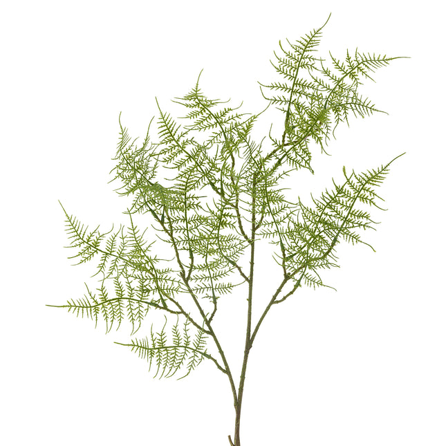 Fern bregne, 89cm