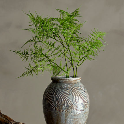 Fern bregne, 89cm