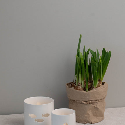 Lykt med båt, 7,5cm