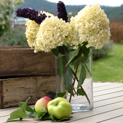 Cylinder vase i glass, 12x20